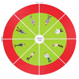 Vloerkleed Roos van Leary- Engels